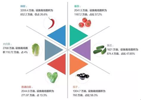 蔬菜种植基地-东莞市台裕膳食管理服务有限公司