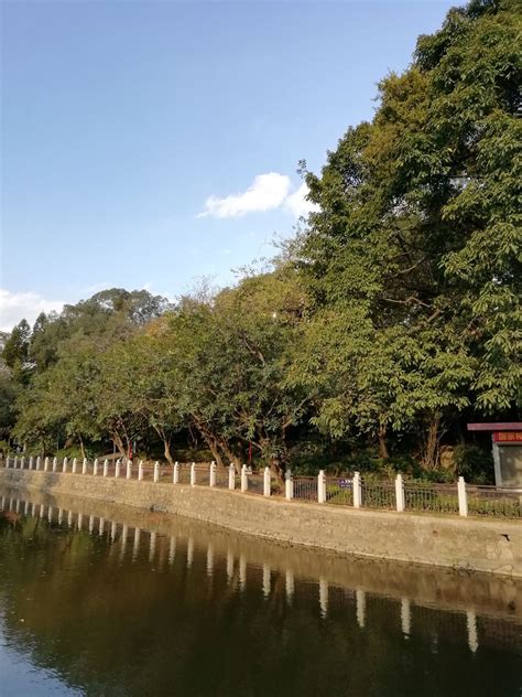 广州市内最大的湿地公园, 这里的生态环境非常好!|广州|海珠|湿地公园_新浪新闻