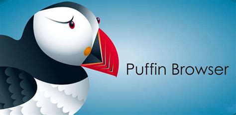 【Puffin浏览器特别版】Puffin最新版下载 v7.8.1 绿色特别版-开心电玩