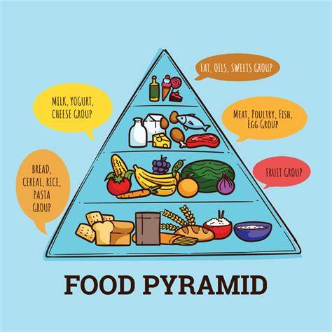 健康饮食金字塔顺口溜