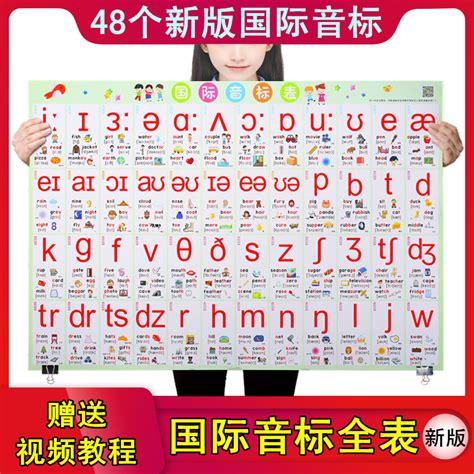 （今日10折）新版小学生英语国际音标挂图48个标准英文字母发音表儿童早教墙贴—玩具挂图/认知卡