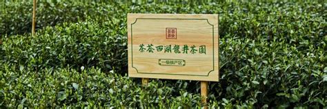 茶荟集团收购并启用域名chahui.com