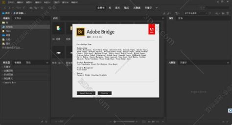 Adobe bridge_Adobe bridge软件截图-ZOL软件下载
