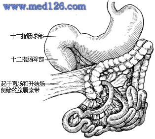 经肛门引流管在新生儿回肠末端肠闭锁中的应用研究
