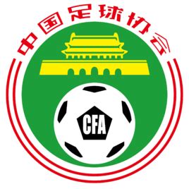 中国足球协会_360百科