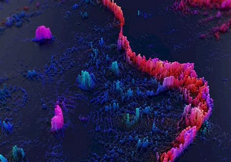 高质量照片图片
