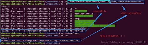 linux复制文件命令_linux文件复制命令-CSDN博客
