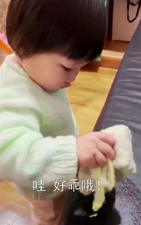 王祖蓝晒1岁女儿做家务视频 锅盖头拿抹布打扫乖巧可爱