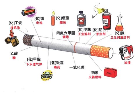 禁烟资料四_广州市天河实验幼儿园