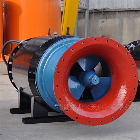 350QZB-70D-卧式 雪橇式安装 潜水轴流泵卖家-德能泵业（天津）有限公司