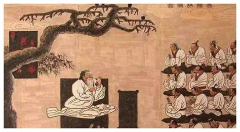 舒望图片