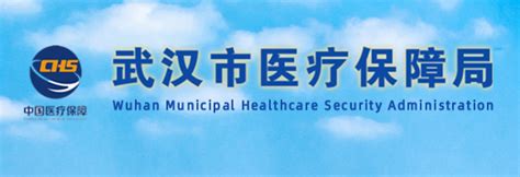 武汉市医疗保障局(网上办事大厅)