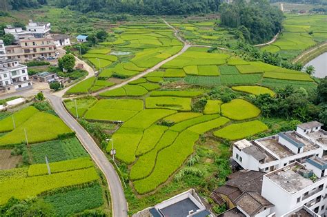 漳州：农村建设品质提升行动绘就和美乡村新画卷-中国福建三农网