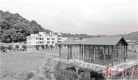 樟林村“重启”告别寿山石产业