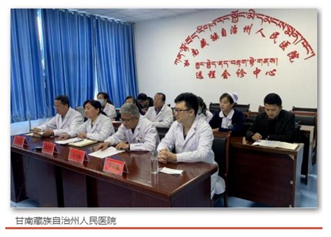 我院与甘南藏族自治州人民医院成立“信息技术远程培训中心”-天津市肿瘤医院-北方网企业建站