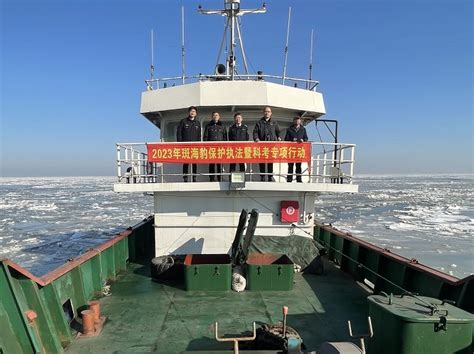 辽宁省海洋与渔业执法总队组织开展斑海豹保护执法专项行动