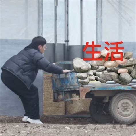表情包吧图片
