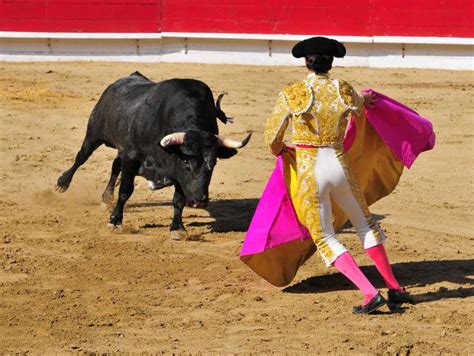 西班牙斗牛士摄影图__体育运动_文化艺术_摄影图库_昵图网nipic.com