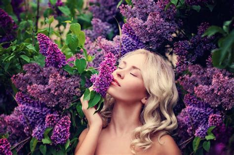 在花园里花丛中的金发女人图片-金发女人在花园里享受着紫色丁香花的气息素材-高清图片-摄影照片-寻图免费打包下载