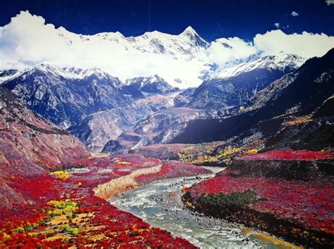 雅鲁藏布江畔的十里花溪-拉萨林芝两地 5晚6天_八大洲旅游