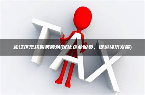 松江区常规税务筹划(优化企业税负，促进经济发展) - 灵活用工平台