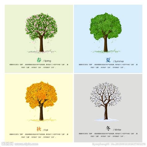 四季树叶叶子素材图片免费下载-千库网
