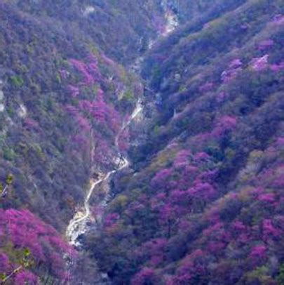 太平国家森林公园 - 中国旅游资讯网365135.COM