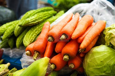 德城区哨马营村蔬菜种植：百余户村民年收益均超10万元_德州新闻网