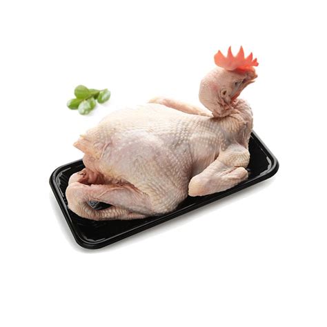 冷冻老母鸡山东蛋鸡种鸡生产厂家常年供应冻鸡相关产品-258jituan.com企业服务平台
