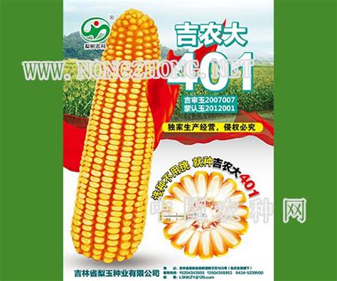 吉农大401玉米种子-吉林省梨玉种业有限公司-农种网