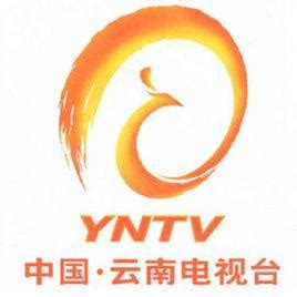 云南卫视设计含义及logo设计理念-三文品牌