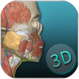 3Dbody解剖电脑版下载-3Dbody解剖电脑版 v8.6.23-清风安卓软件网