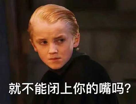 哈利&#183;波特表情包图片