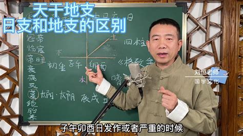 刘恒易经：天干地支 日支和地支的区别_腾讯视频