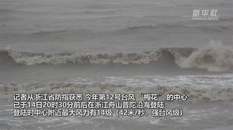 2023年浙江会有几个台风登陆（2023年登陆浙江的台风多不多）_生活_天鹮网