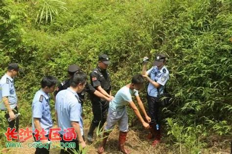 广西岑溪13岁少年杀害同村三姐弟 其父母将打工十年为儿“赎罪”_社会_长沙社区通