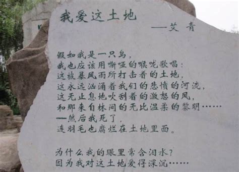雪落在中国的土地上（中国诗人艾青1937创作的现代诗）_摘编百科