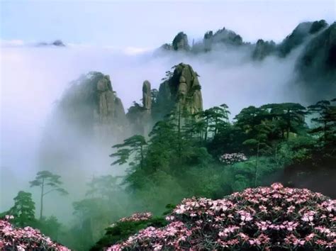 中国黄山成为世界生物圈保护区网络新成员 - 快讯 - 中国产业经济信息网