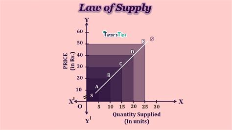 What is supply and demand? - Market Business News