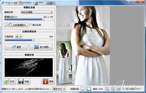 高清图片处理工具-图片清晰工具(SmartDeblur)v2.2 英文绿色便携版-东坡下载