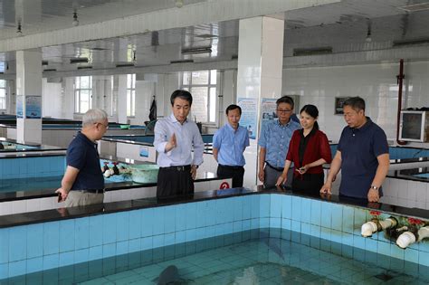 河北省科技厅组织专家到北戴河站开展项目现场考察-中国水产科学研究院