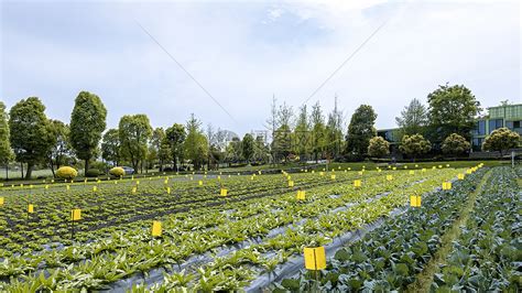 第五批广东省农业科技园区名单_智慧农业-农博士农先锋网