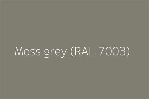 Moss grey (RAL 7003) Color HEX code