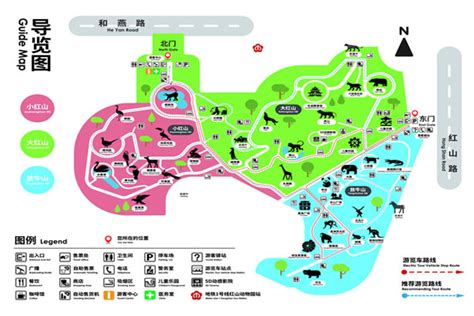 南京红山动物园一日游攻略 附最佳路线_旅泊网