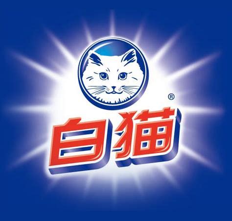 黄白猫系列图片