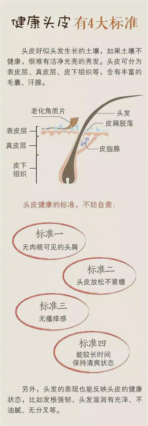 皮肤镜能不能确诊雄激素型脱发？ - 知乎