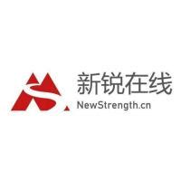天津新锐科技有限公司logo设计 - 标小智LOGO神器