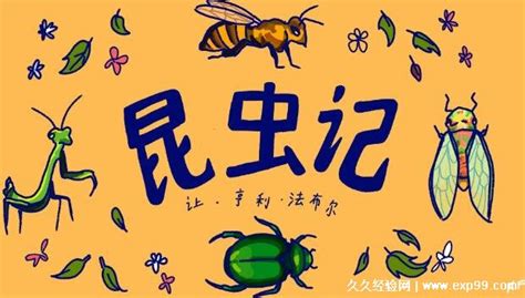 昆虫记思维导图清晰完整 昆虫记思维导图内容大全-MindManager中文网站