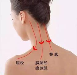 背部刮痧示意图图片