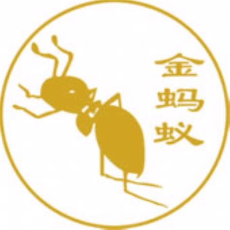 金蚂蚁一块摇网站设计_Kevinzk-站酷ZCOOL